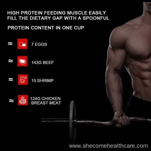 High Quality Whey Protein Powder Wholesale